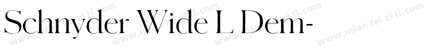 Schnyder Wide L Dem字体转换